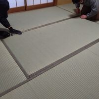 画像1456
