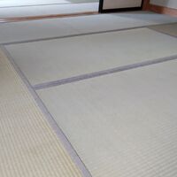 画像1696