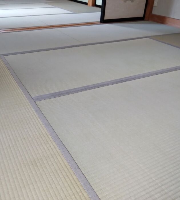 画像1696